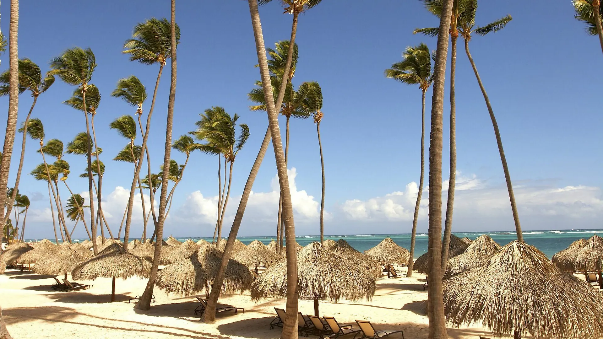 Royal Service At Paradisus Palma Real (Adults Only) Punta Cana Dominican Republic